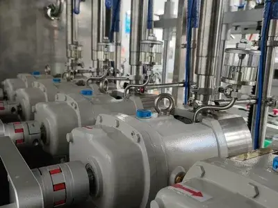 Drehkolbenpumpe
