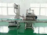 Automatische Spindelverschließmaschine
